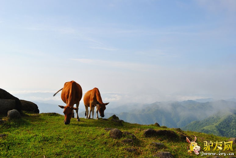 �޶�����ɽ (26).jpg